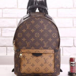 Louis Vuitton Palm Springs Pm M44870 Brown